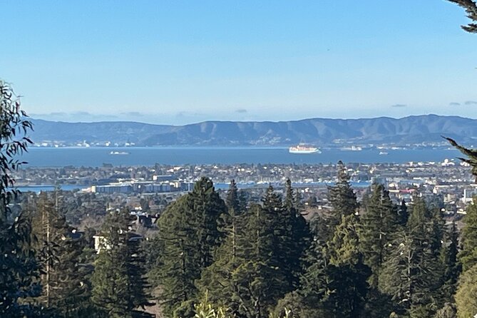 Explore San Francisco Napa Sacramento Oakland Black Exp Car Tour - Convenient Meeting and Pickup Locations