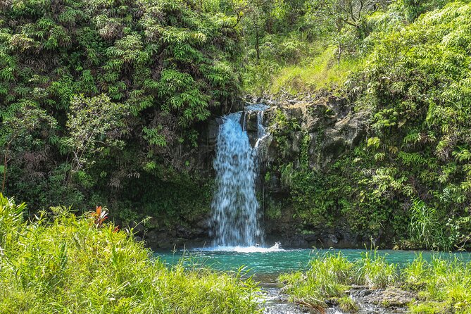 Halfway to Hana Tour Review: A Hidden Gem - Traveler Accessibility and Limitations