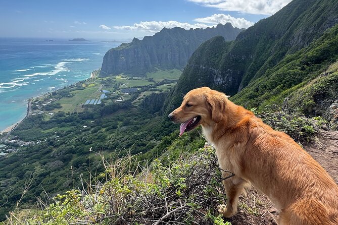 Hawaii Oahu Canyon Rappel & Hike Expedition Tour - Booking and Cancellation Policy