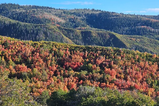 Heber Valley Private Tour Review - Pricing and Value for Money
