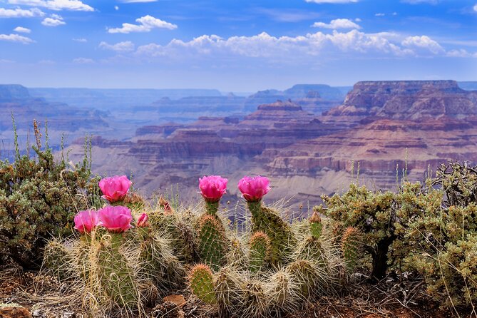 LA: Vegas, Grand Canyon, Antelope and Bryce Review - Adventures in Bryce Canyon and Zion National Park
