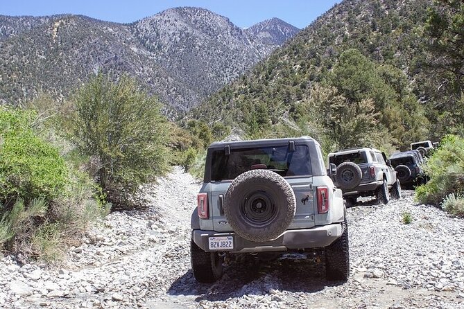 Las Vegas Guided Off-Road Adventure Review - Insights From Recent Reviews