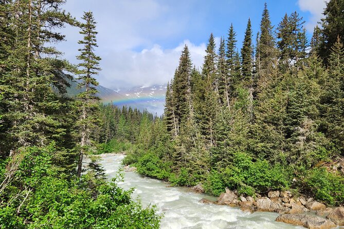 Laughton Glacier Hike and White Pass Rail Adventure - Preparing for the Experience