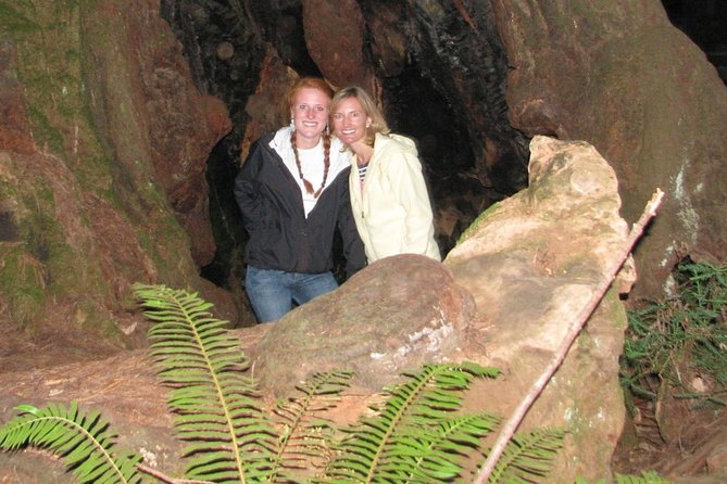 Muir Woods Forest Private Tours Review - Tour Guide and Staff Impressions