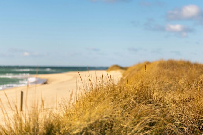 Nantucket Coast to Coast Tour Review - User Reviews and Feedback Analysis