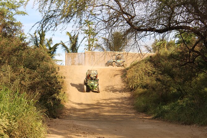 Oahu Off-Road ATV Adventure Review - Review Analysis and Customer Testimonials