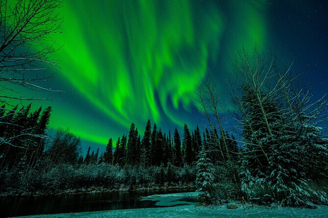 Private Aurora Viewing Experience in Fairbanks - Dining Options