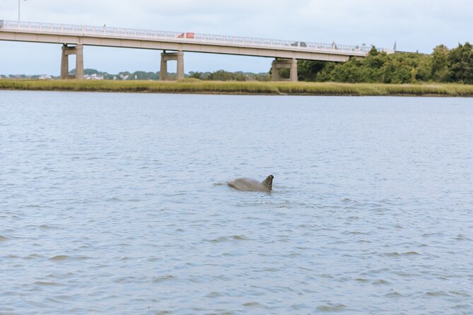 Private Charleston Dolphin Tour - Booking and Cancellation Policy
