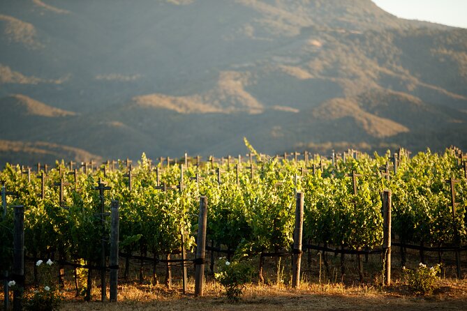 Private Vineyard Tour and Wine Tasting - Getting There