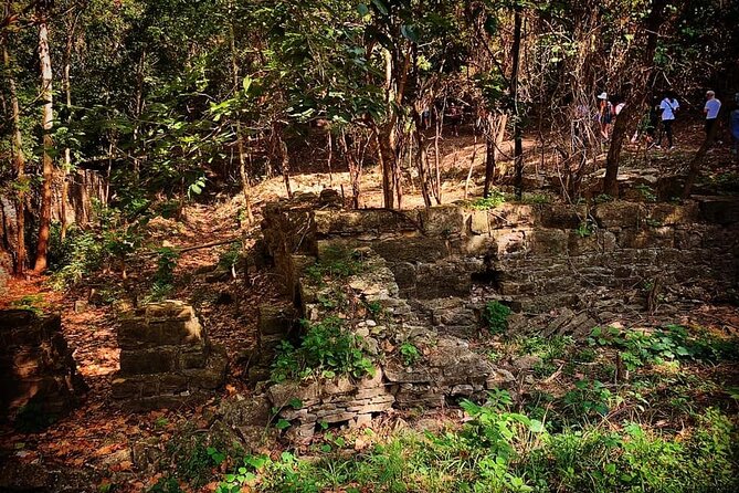 Quindaro Ruins Urban Hike Review - Amenities and Nearby Facilities