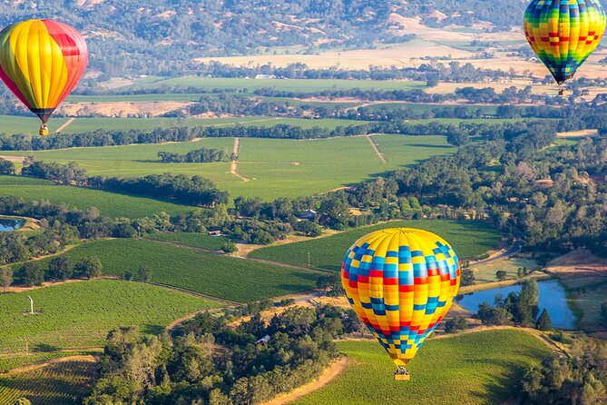San Francisco Airport Private Transfer to Napa Valley - Booking and Cancellation Policies