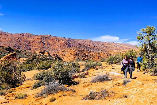 Secret Petroglyphs Hike Adventure Review - Pricing and Value Assessment