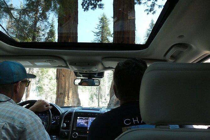 Small Group Sequoia Tour Review - Accessibility and Accommodation Information