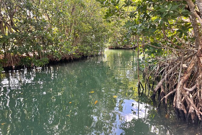 Sunset Cruise in Key Largo Review - Tips for a Better Cruise Experience