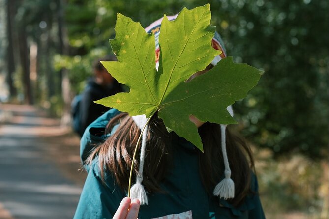 The Evolution of Yosemite Naturalist Walking Tour - Preserving Yosemites Legacy Through Education
