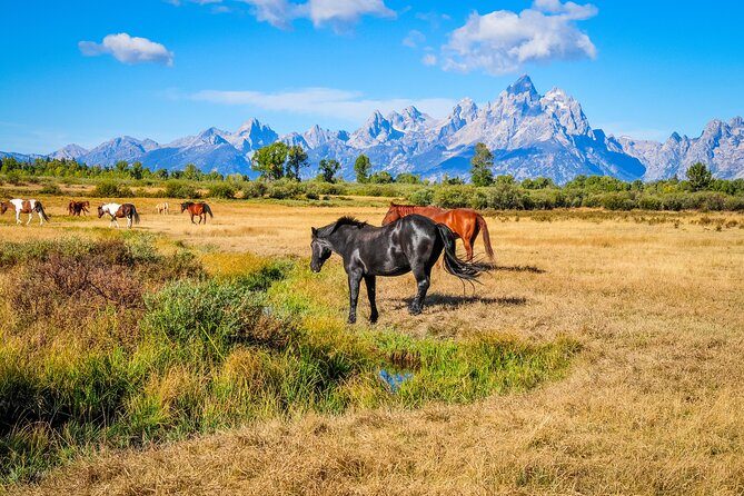 Yellowstone, Grand Teton,& Grand Circle Adventure: 7 Parks 9 Days - Seasonal Activities and Attractions