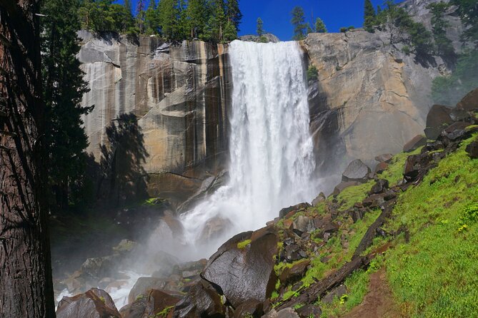 Yosemite National Park Private 1 Day Tour From San Francisco - What to Expect on the Tour