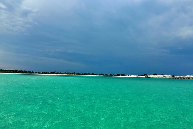 4 Hour Eco Dolphin Tour in Panama Review - Tour Recap and Final Thoughts