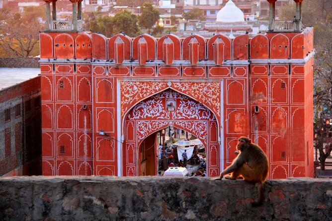 7 Days India Tour From New York Including Visa and Flight - Tour Highlights