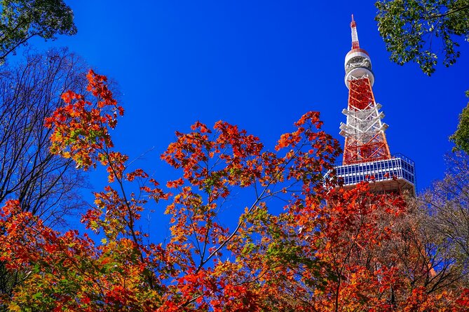 All Inclusive・Private Tour Make Your Own Tokyo Adventure - Capturing the Moment