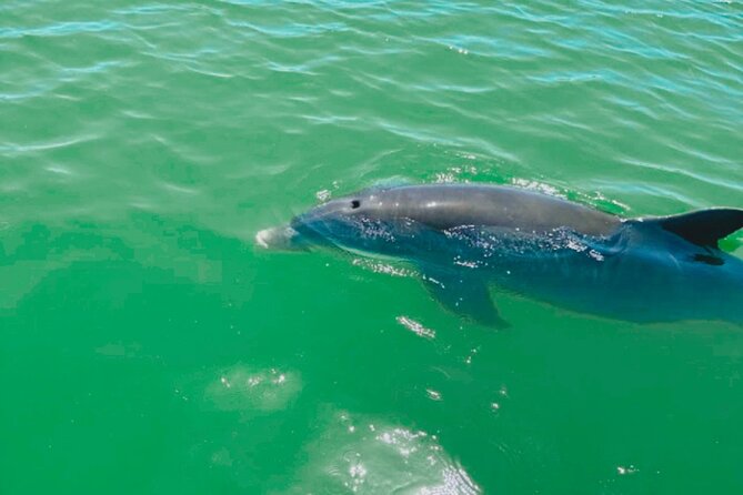 Boat Rentals to Shell Key, Treasure Island and St. Pete Beach - How to Reserve Your Boat Rental