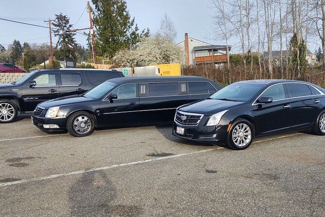 Cruise Port of Palm Beach to Palm Beach Arrival Private Transfer - Recap