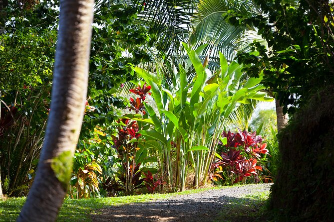 Halfway to Hana Tour Review: A Hidden Gem - Tips for a Smooth Tour Experience