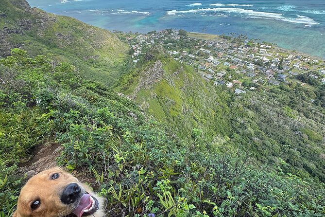 Hawaii Oahu Canyon Rappel & Hike Expedition Tour - Frequently Asked Questions