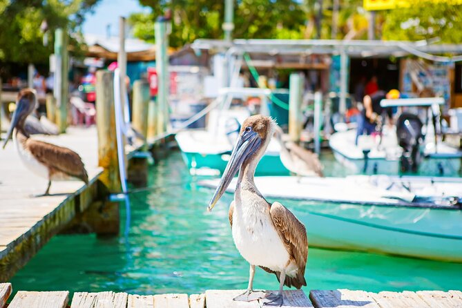Key West & Overseas Hwy Tour Review - Tips for Making the Most of Your Tour Experience