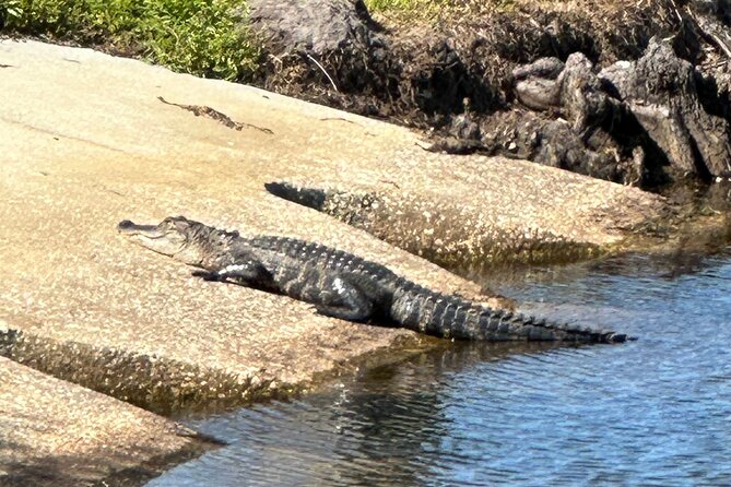 Kissimmee and St. Cloud Beach Tour on All Electric Trike (8 Hrs.) - Frequently Asked Questions