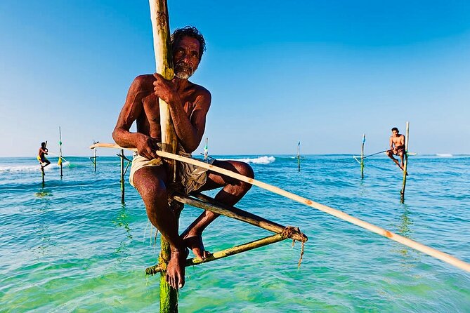 Mirissa Whale Watching, Stilt Fishing & Turtle Tour From Colombo - Frequently Asked Questions
