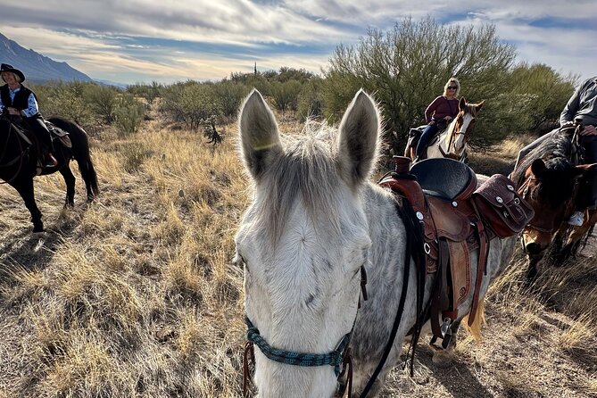 One Hour Guided Horseback Ride - Connecting With Your Horse