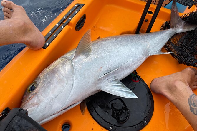 Private Pelagic Kayak Fishing Charter Lahaina - What to Expect on the Pelagic Kayak Adventure