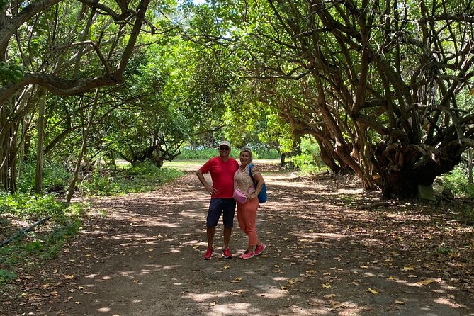 PRIVATE TOUR-Ultimate North Shore Experience - Frequently Asked Questions