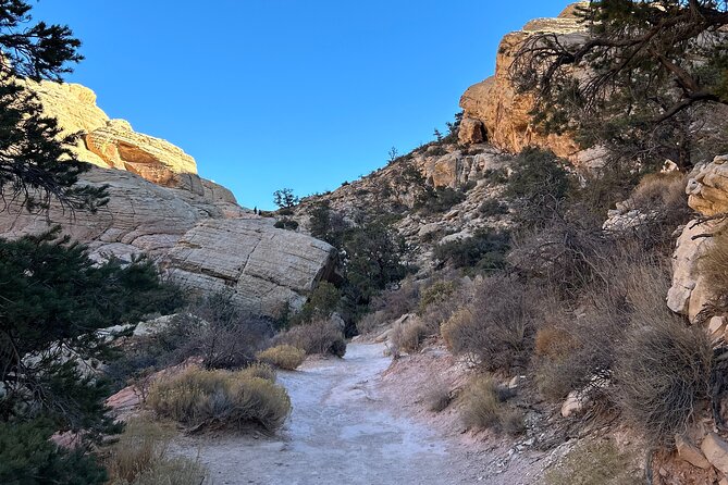 Red Rock Canyon Hiking Adventure Review - Tips for Making the Most of Your Hiking Adventure
