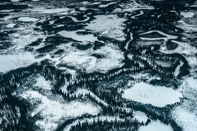 Reindeer and Heli Flightseeing Day Trip With Lunch - Experience Highlights