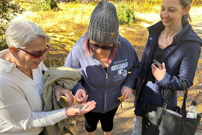 The Evolution of Yosemite Naturalist Walking Tour - Frequently Asked Questions