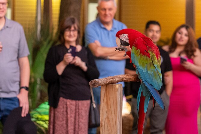 Skip The Line Central Florida Zoo Review - Visitor Feedback and Ratings Analysis