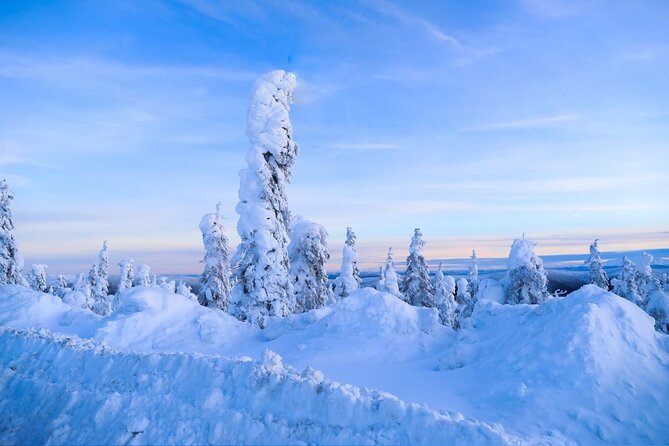 Arctic Circle Day Tour Adventure Review - About Your Stay