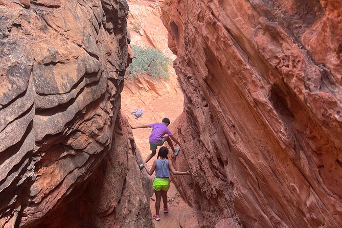 Babylon Arch Hike and Desert Wildlife Adventure - Key Points