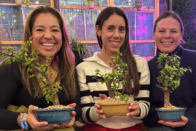 Bonsai Class in San Francisco: Make & Take Home a Bonsai Tree! - Key Points