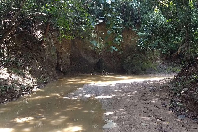Colorados – Palenque