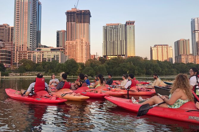 Evening Bat Watching Kayak Tour Review - About Your Stay
