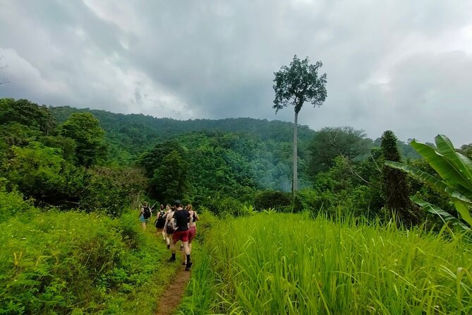 FD Chiang Mai Elephant Sanctuary Review