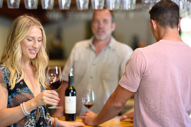 From San Francisco: Half-Day Wine Aficionado Tour With Tastings - Key Points