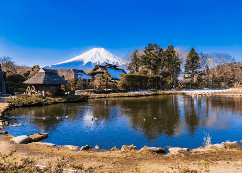 From Tokyo: Chureito Pagoda、Mount Fuji Sightseeing Day Tour - Transportation and Services
