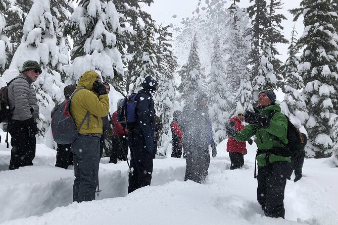 Guided Snowshoe Tour in Bend Review - About Your Stay