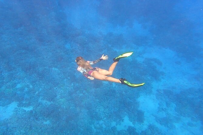 Half Day Private Cruise Tour With Snorkeling Review - About Your Stay