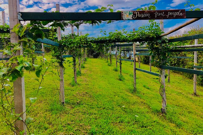 Hamakua Coast Farm Small-Group Walking and Tasting Tour - Key Points