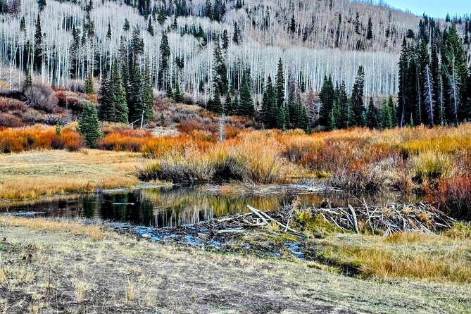 Heber Valley Private Tour Review - About Your Stay